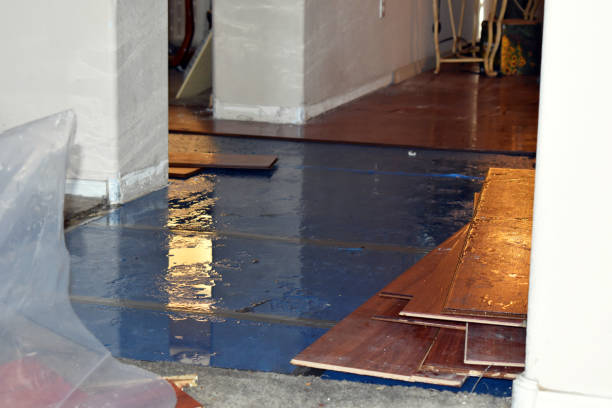 Professional Water Damage Restoration technician working in Frackville, PA